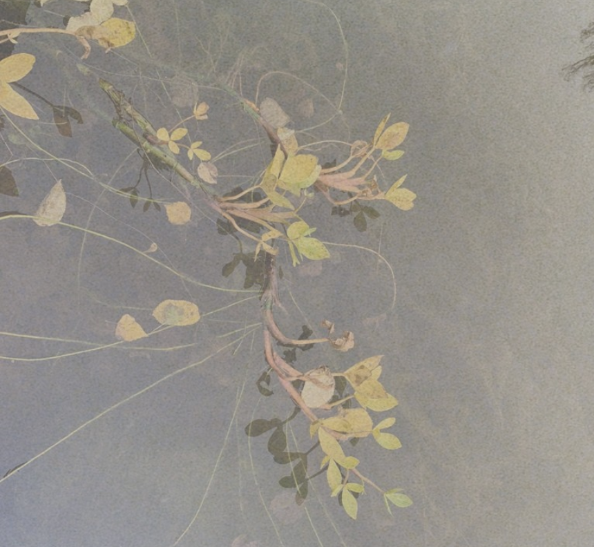 Tuoli-shiatsu + jalkakylpy