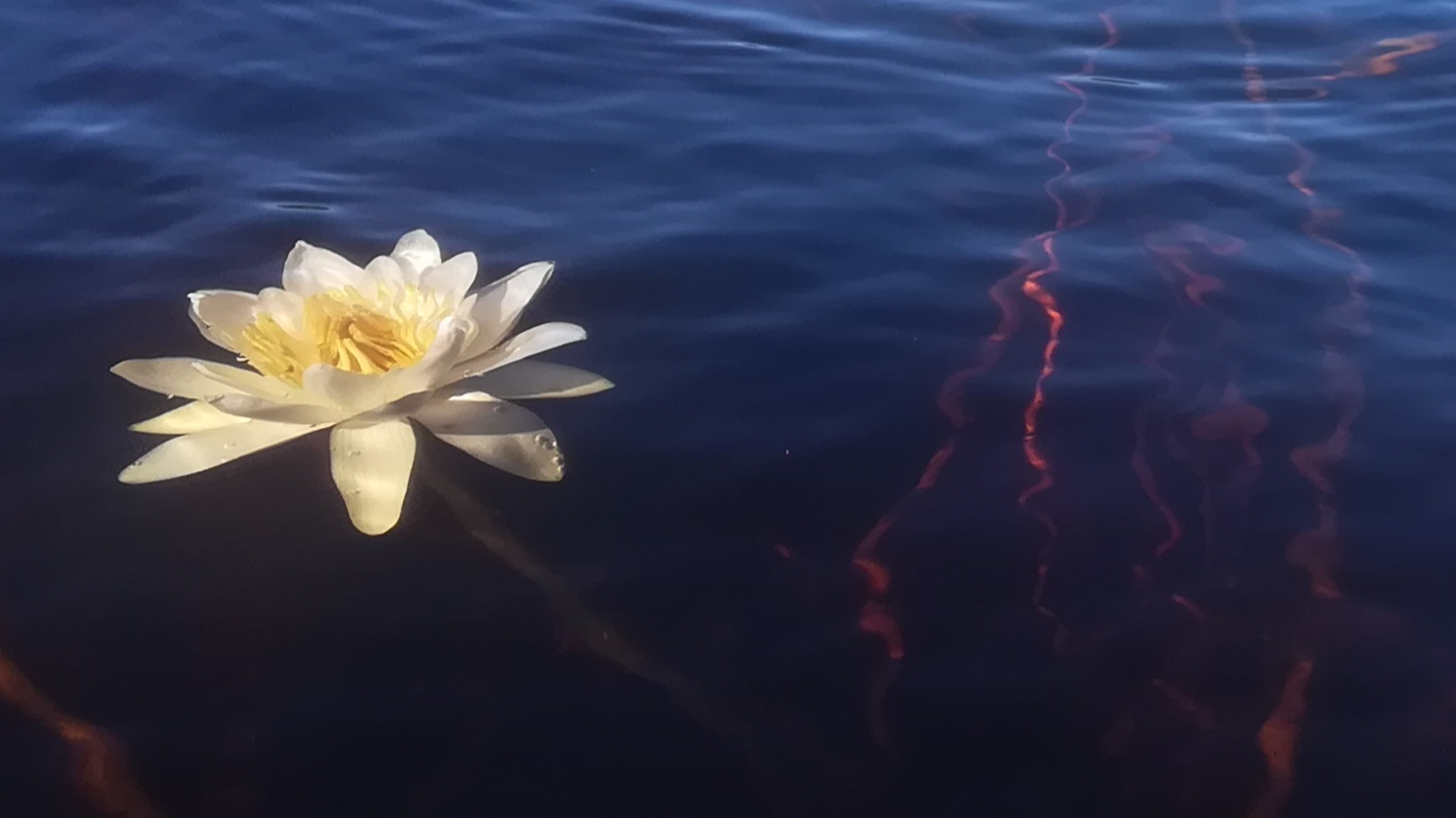 Joululahja 3x 60 min shindo-hoito