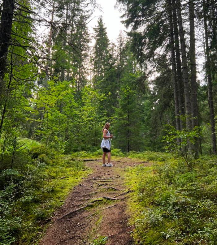 Palautumispolku