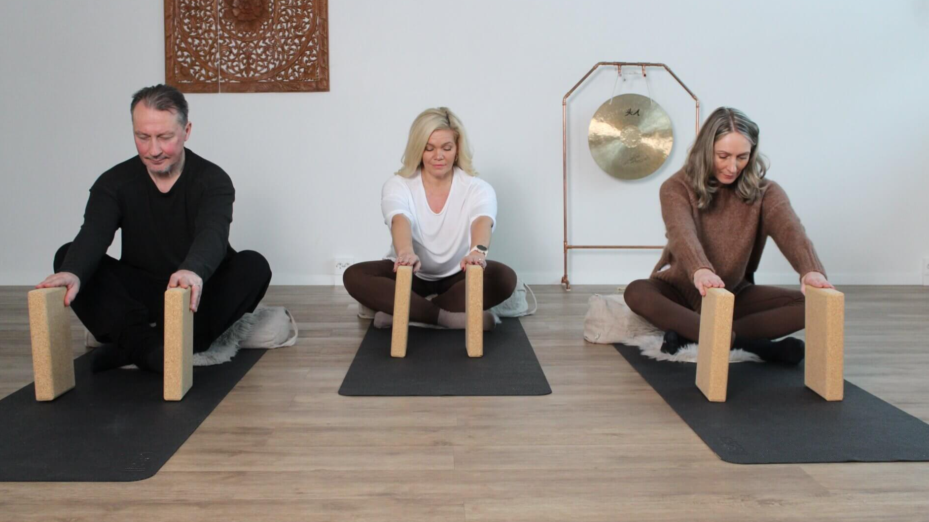 5 x sarjakortti I WellStudio