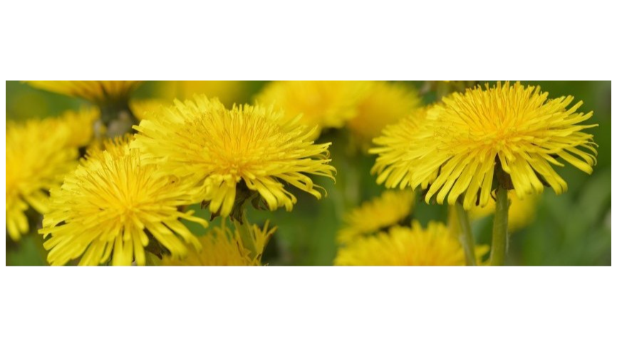 Lahjakortti perusteelliseen jalkahoitoon