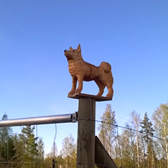 Koirakangas-koulutuskenttä