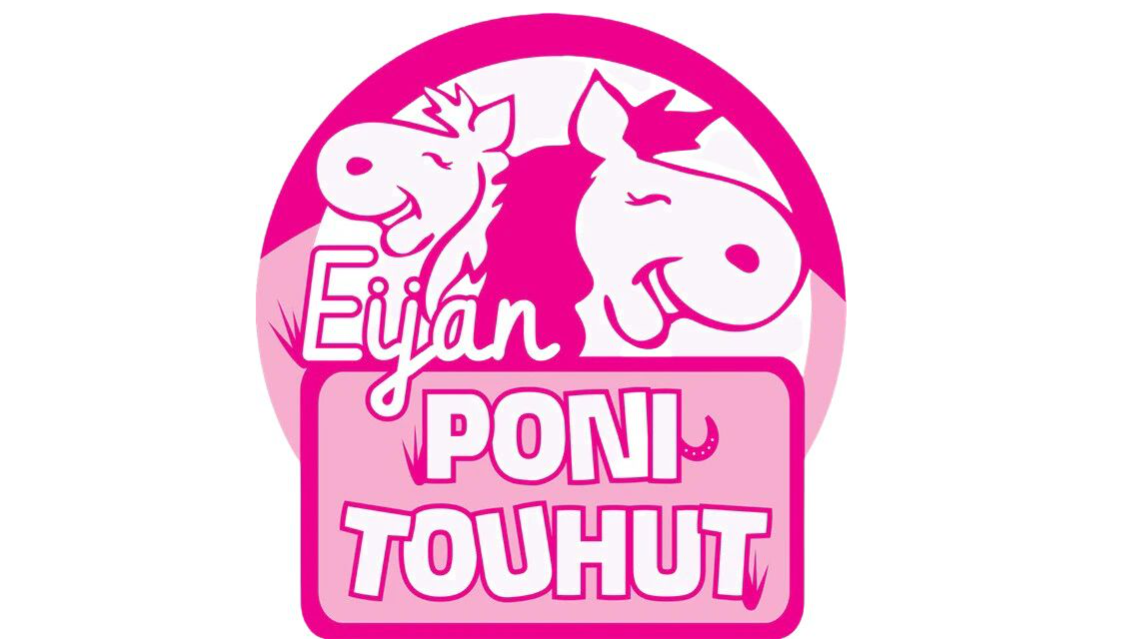 Hörähdellen Ponitouhuihin x1