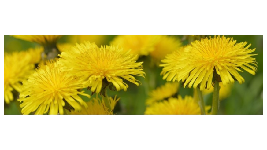 Lahjakortti alaraajahierontaan