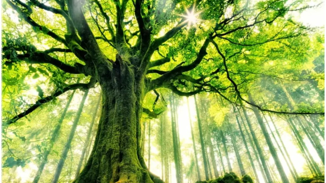 Manuaalinen käsittely