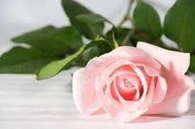 Jalkahoito, perushoito 