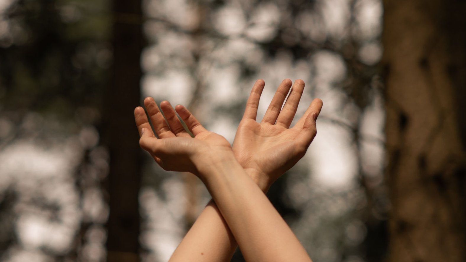 Love your hands