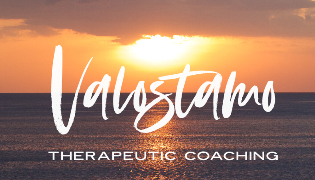 Valostamo / Eliisa Saarinen