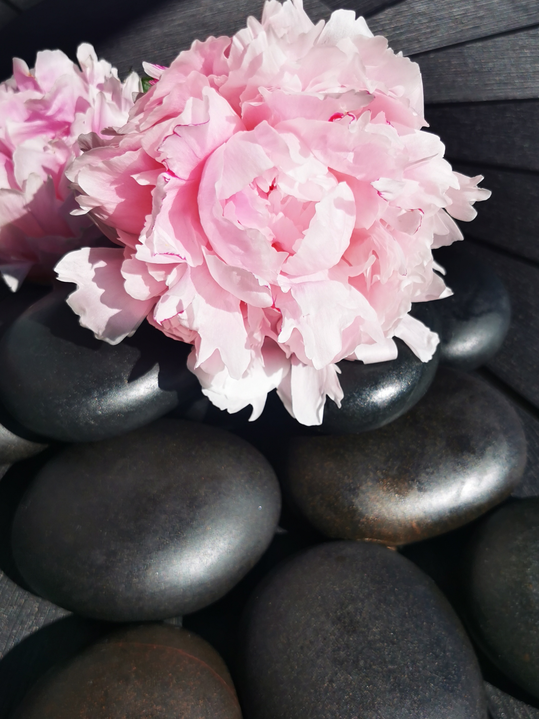 Chillaamon palveluihin 150€ arvosta