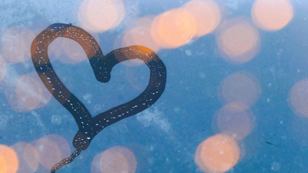 Joululahjakortti kahden hengen äänimaljarentoutukseen