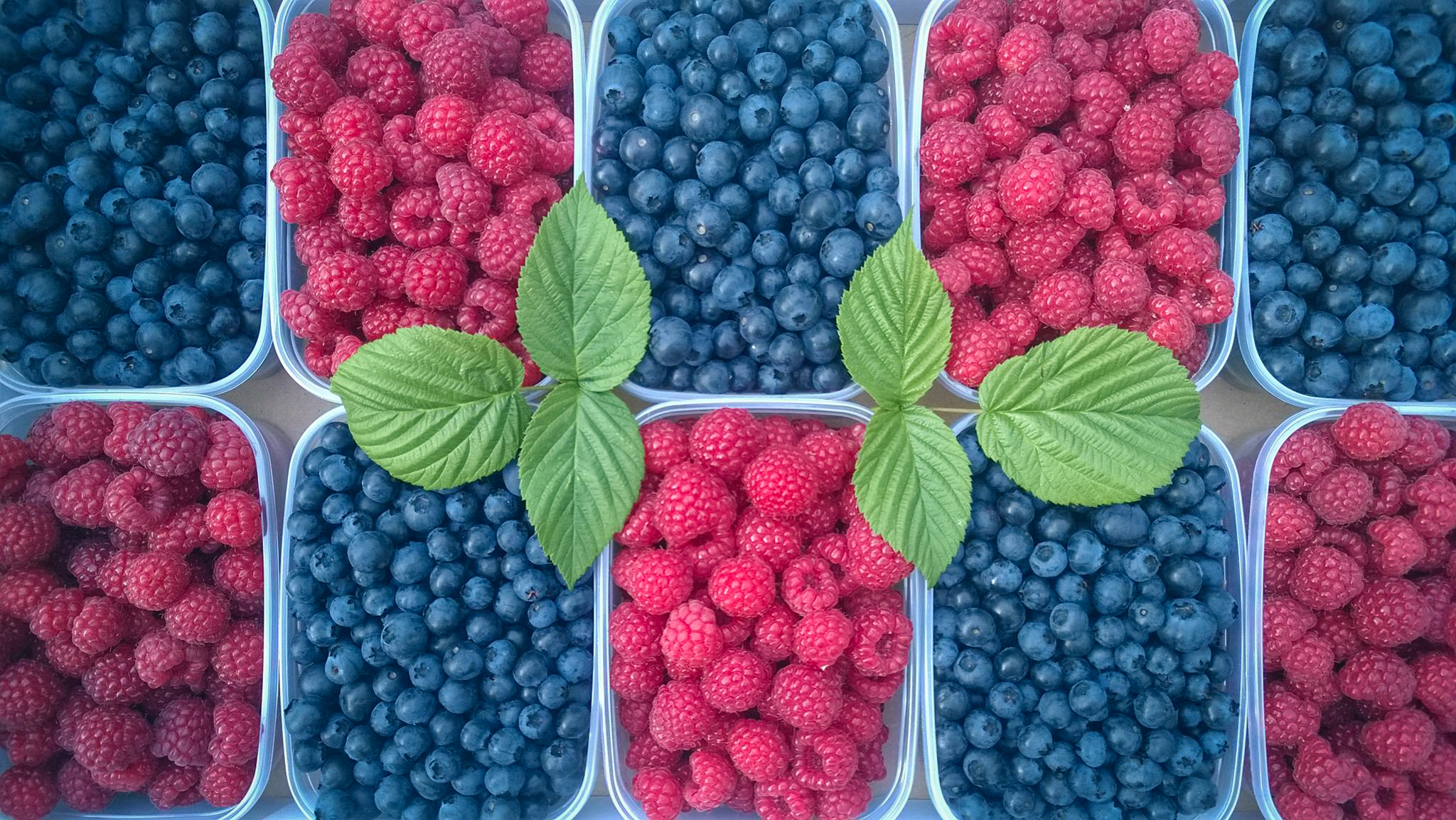 Mäki-Heikkilän tila