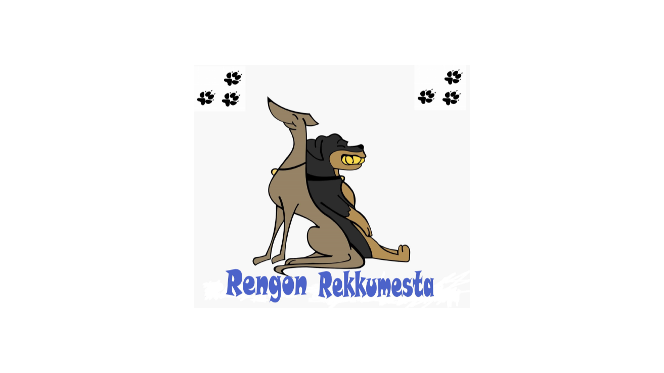 3h varaus Rekkumestaan