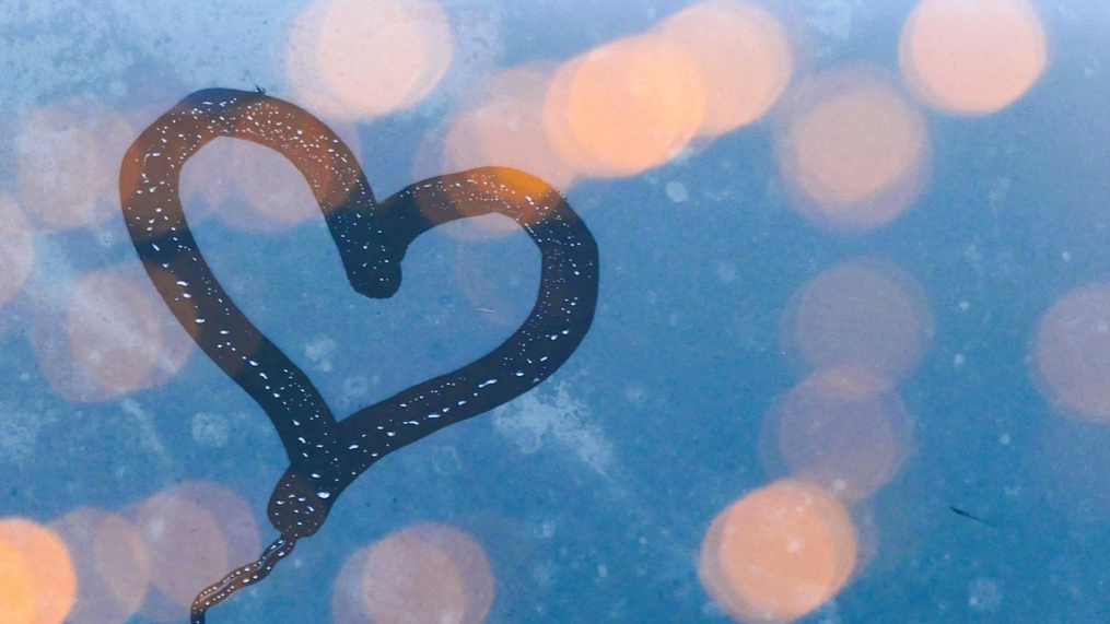 Joululahjakortti energiahoitoon