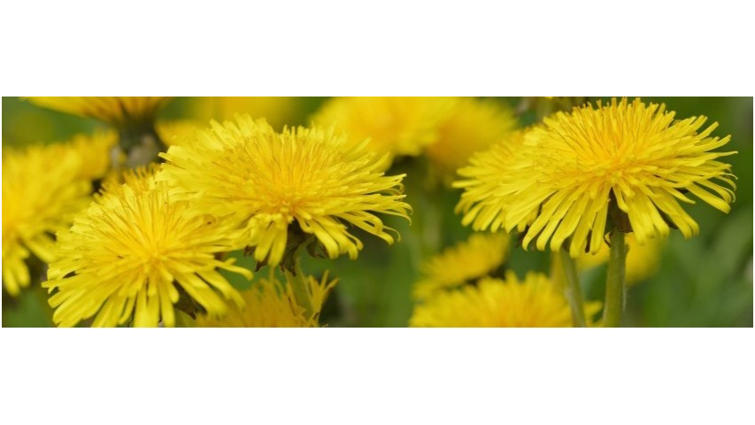 Lahjakortti alaraajahierontaan ja jalkaliikkeisiin