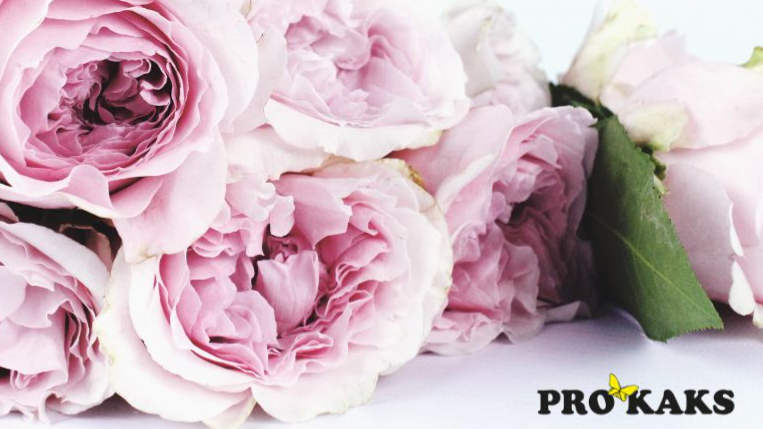 Lahjakortti äidille