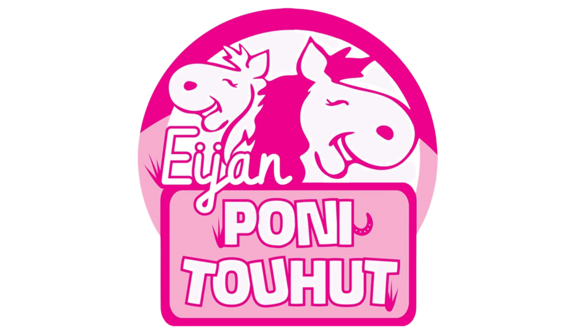 Ponipäivä 4 h