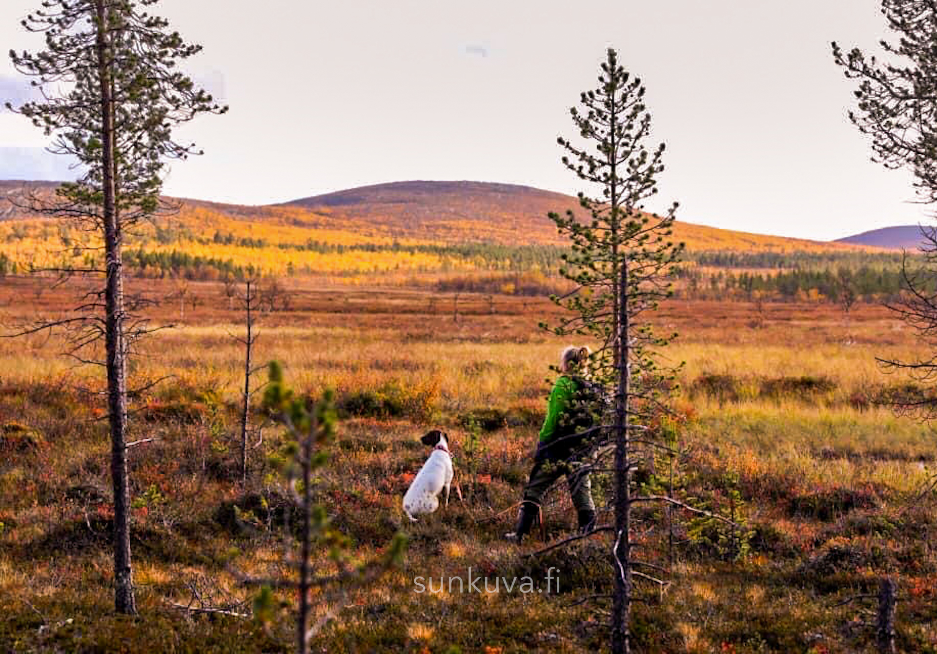Metsämieli-kävely + kuvamuisto retkestä