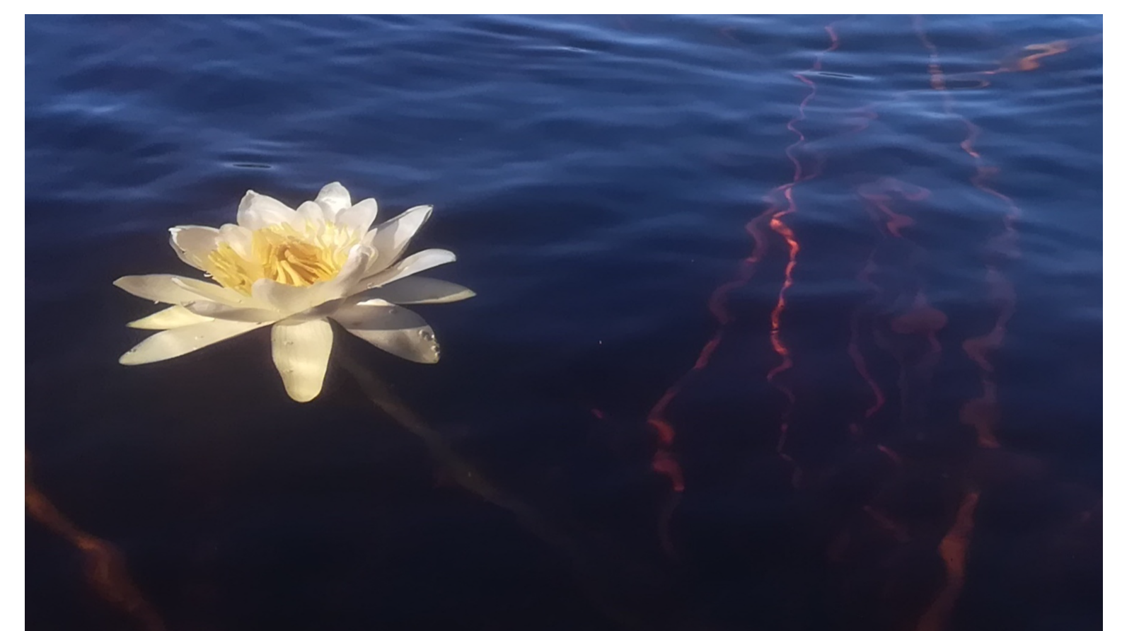 Joululahja Jomon-Shindo kehotyöskentelyn yksilöohjaus 3x 60 min