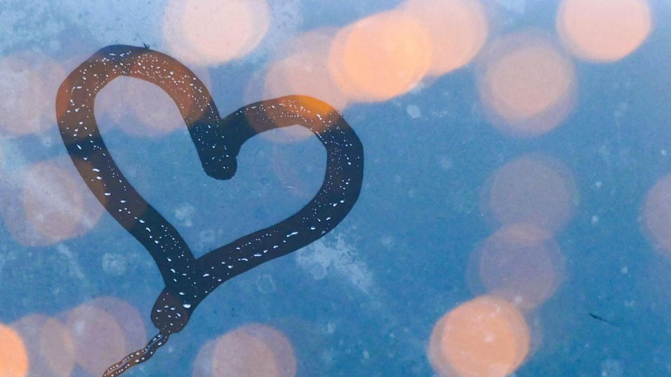 Joululahjakortti Äänirautahoitoon