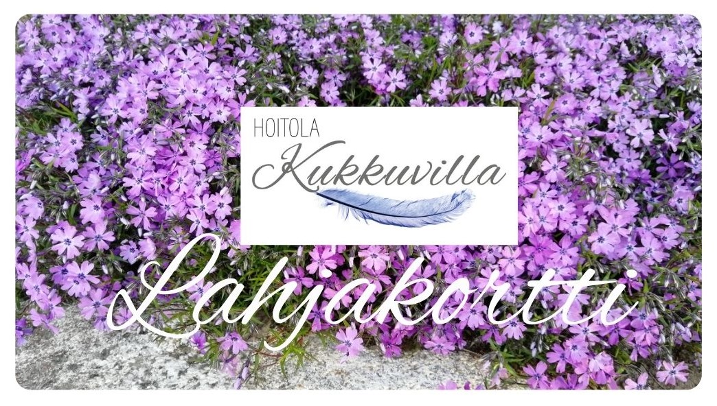 Hemmotteluhoito 60 min