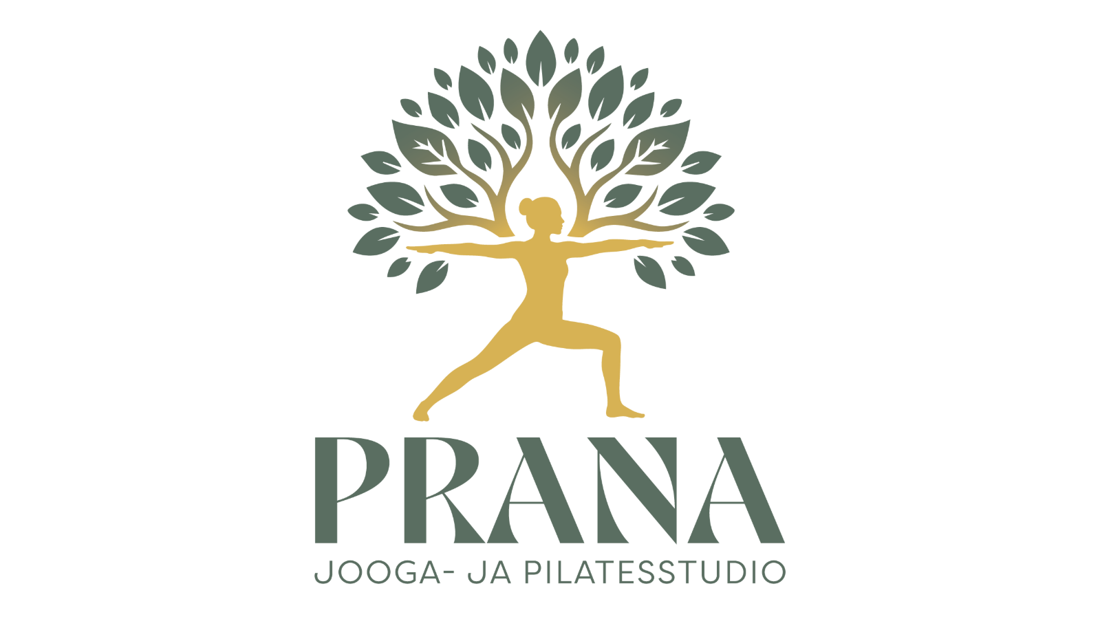 FLASH SALE 15 x digisarjakortti Prana studion tunneille