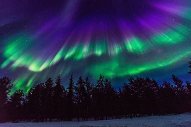 Hoitojen yhdistelmä(jäsenkorjaus,akupunktio, intuitiivinen hoito)