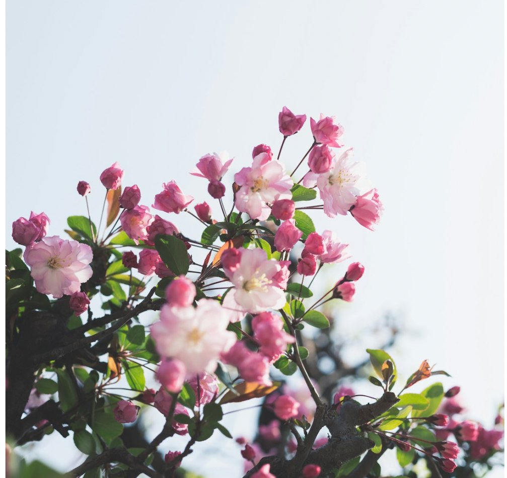 Hemmottelua sinulle 🤍