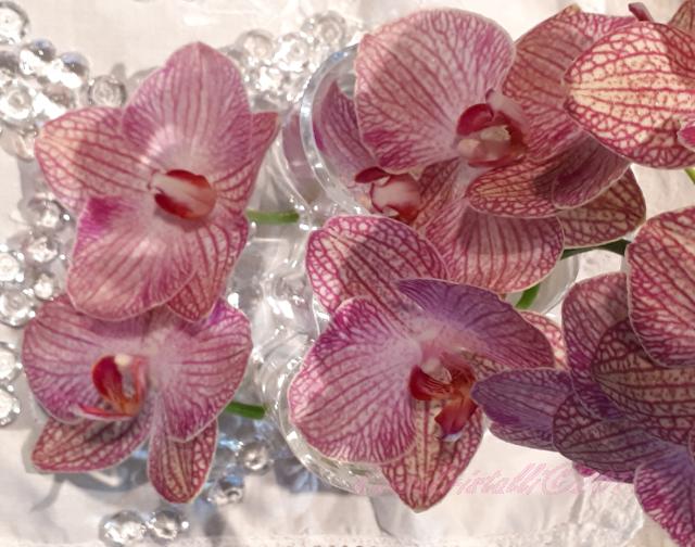 Intialainen päähieronta lahjakortti