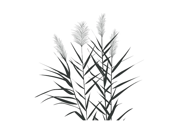 Osteopatia
