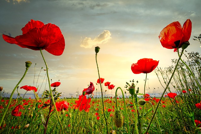 Avaamo-lahjakortti Elämän Valmennus