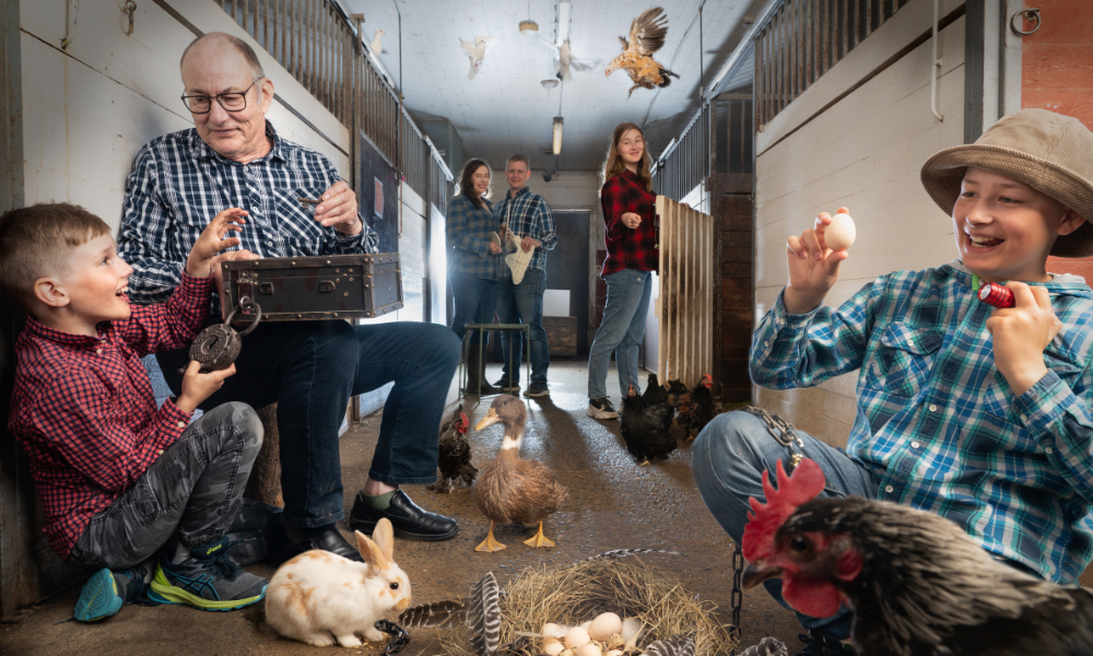 200€ lahjakortti eläinpakopeliin Farm Escape Tornio (2-4 hlö)