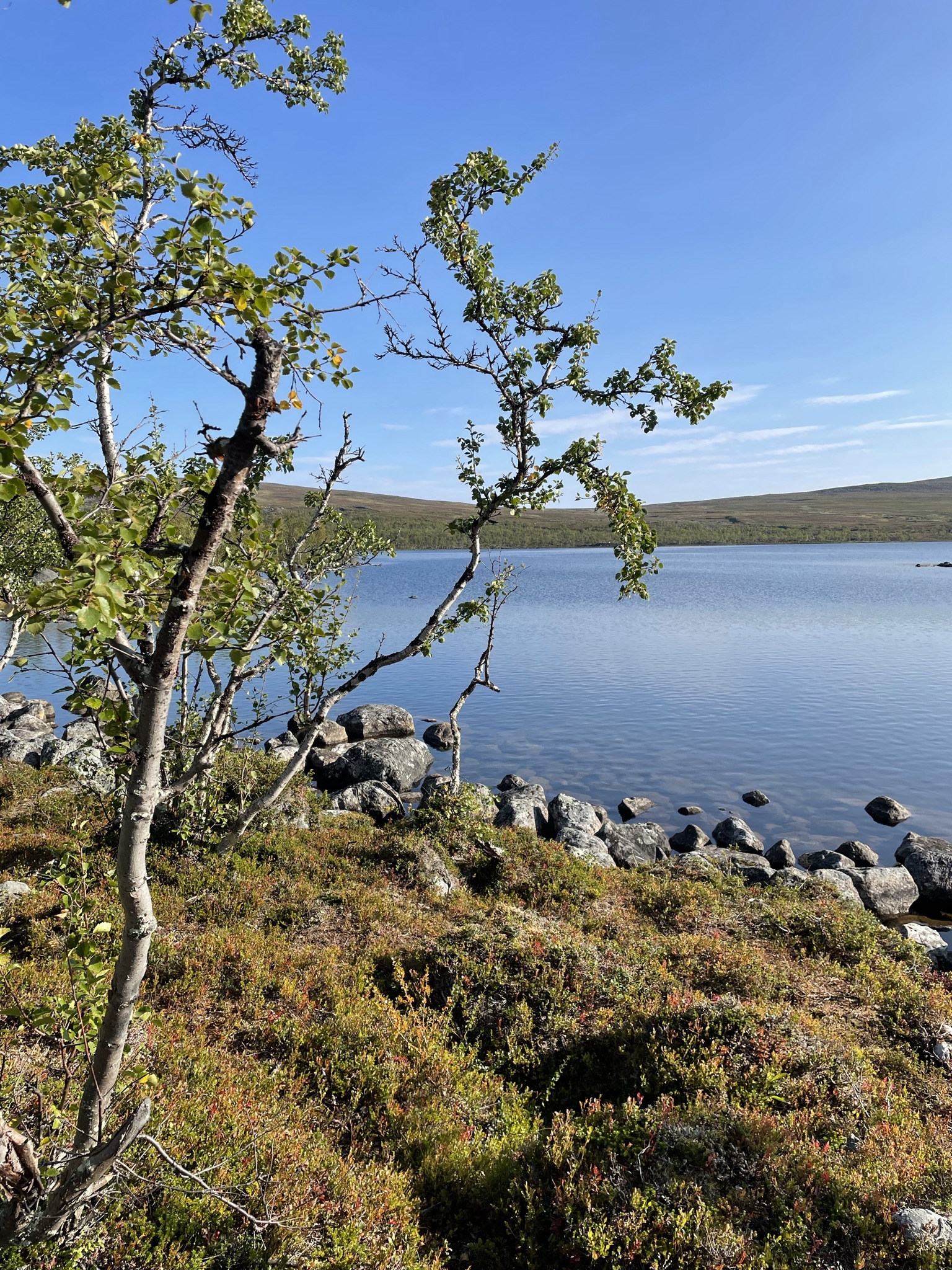 Kraniosakraaliterapia 